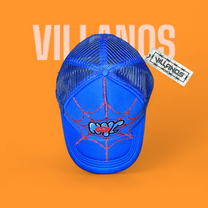 Spider Web Villanos NYC Trucker Hat